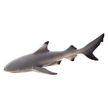 Mojo Sealife Blacktip Reef Shark 387357