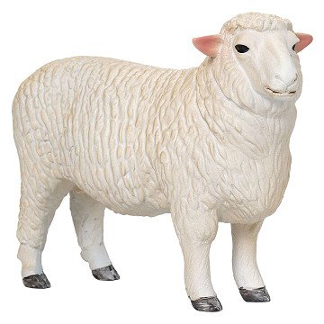 Mojo Farmland Romney Schaap Ram - 381063