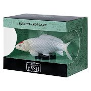 Mojo Koi-Kollektion – Tancho Koi Red Dots 381119