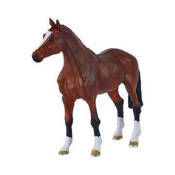 Mojo Royal Warmblood Horse - 381155