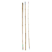 Stange Bambus, 2mtr.