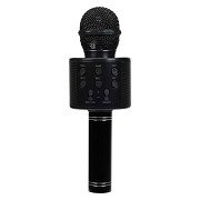 Rechargeable Microphone with USB Connection