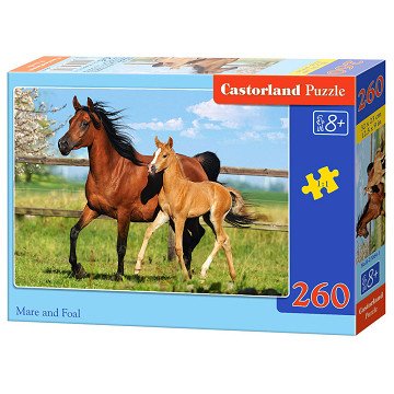Puzzel Paard en Veulen, 260st.