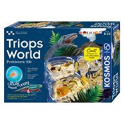 Kosmos der Triops