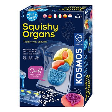 Wie man Kosmos Squishy-Organe herstellt