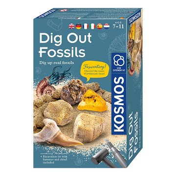 Kosmos Fossilien freilegen