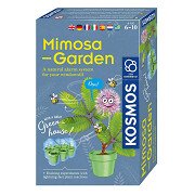 Kosmos Mimosa Garden Playset