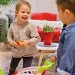 Beschrijving afbeelding