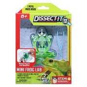 DISSECT-IT Ontleed een Kikker met Vergrootglas