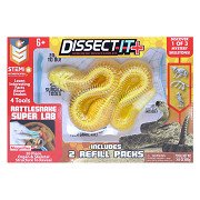 DISSECT-IT Dissect a Rattlesnake Mega Giftbox
