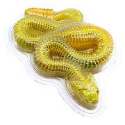 DISSECT-IT Dissect a Rattlesnake Mega Giftbox