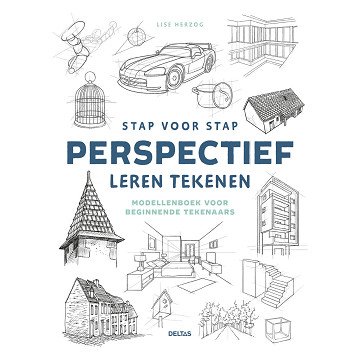 Stap voor Stap Perspectief Leren Tekenen Hobbyboek