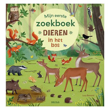 My First Search Book - Animals In The Forest
