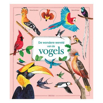 The wonderful world of birds