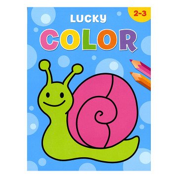 Lucky Color 2-3 years