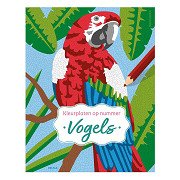 Vögel – Ausmalbilder nach Zahlen