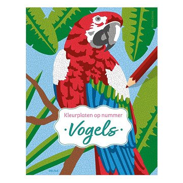 Vögel – Ausmalbilder nach Zahlen