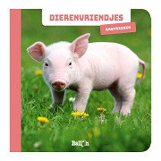 Dierenvriendjes - Fotokijkboek Babydieren