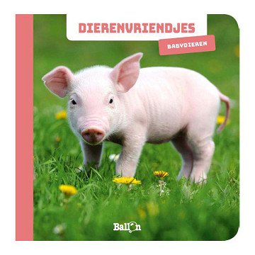 Dierenvriendjes - Fotokijkboek Babydieren