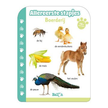 Erste Schritte auf dem Bauernhof (18–24 Monate)