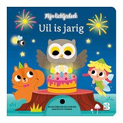 Uil is jarig Lichtjesboek