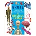 Beschrijving afbeelding