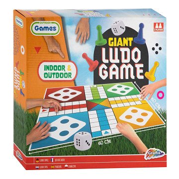 Giant Ludo Game