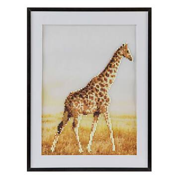 Diamond Painting - Giraffe, 30x40cm