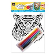 Color by Number A4 - Lion
