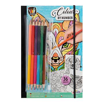 Color by Number Coloring Book with Colored Pencils.