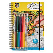 Color by Number Coloring Book with Colored Pencils.