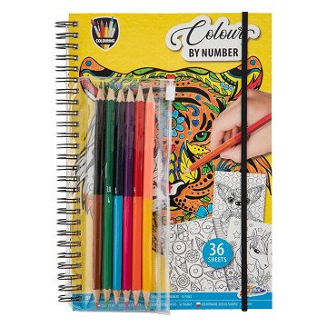 Color by Number Coloring Book with Colored Pencils.