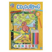 Color by Number with 6 Colored Pencils