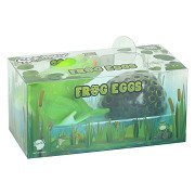 Kikker met Kikkerdril