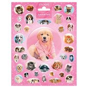 Stickervel Cutie Puppies en Kittens