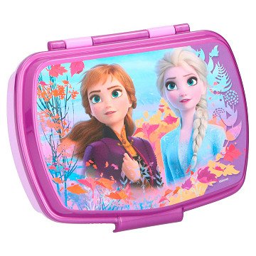 Frozen lunch box