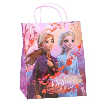 Gift bag Frozen II