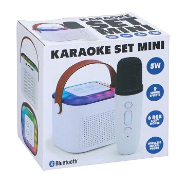 Mini-Karaoke-Set, 2-teilig.