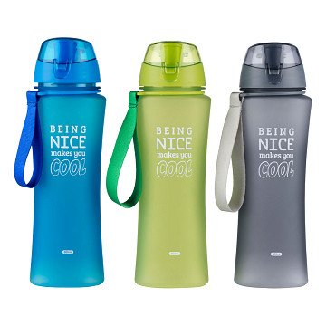 Plastiktrinkflasche mit Ausgießer 650ml
