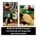 Beschrijving afbeelding