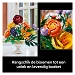 Beschrijving afbeelding