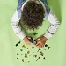 Beschrijving afbeelding