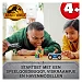 Beschrijving afbeelding