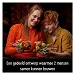 Beschrijving afbeelding