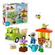 LEGO Duplo Town 10419 Bienen und Bienenstöcke