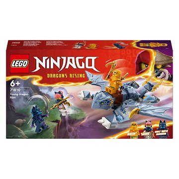 LEGO Ninjago 71810 Young Dragon Riyu