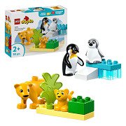 LEGO Duplo Town 10442 Wildtierfamilien: Pinguine und Löwen