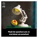 Beschrijving afbeelding