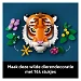 Beschrijving afbeelding