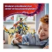 Beschrijving afbeelding